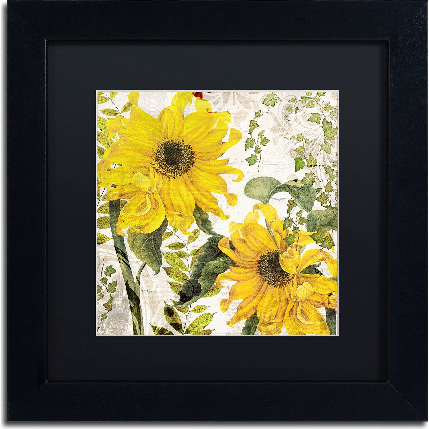 Trademark Fine Art "Carina I" Canvas Art by Color Bakery, Black Matte, Black Frame