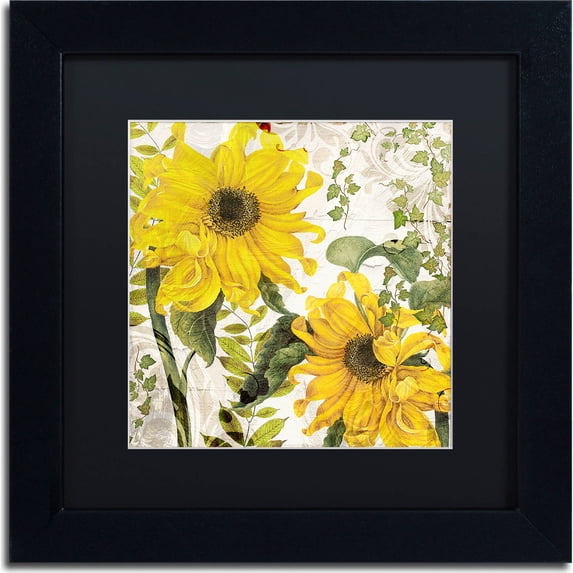 Trademark Fine Art "Carina I" Canvas Art by Color Bakery, Black Matte, Black Frame