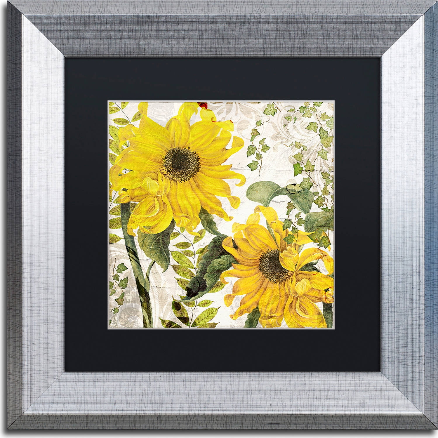 Trademark Fine Art "Carina I" Canvas Art by Color Bakery, Black Matte, Silver Frame