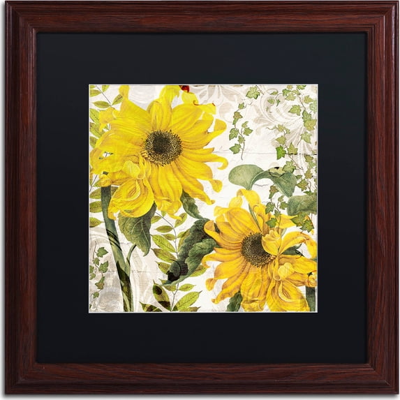 Trademark Fine Art "Carina I" Canvas Art by Color Bakery, Black Matte, Wood Frame