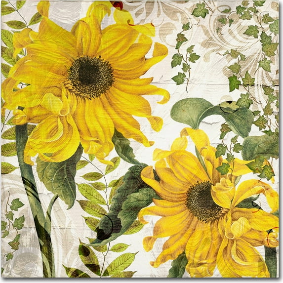 Trademark Fine Art "Carina I" Canvas Art by Color Bakery