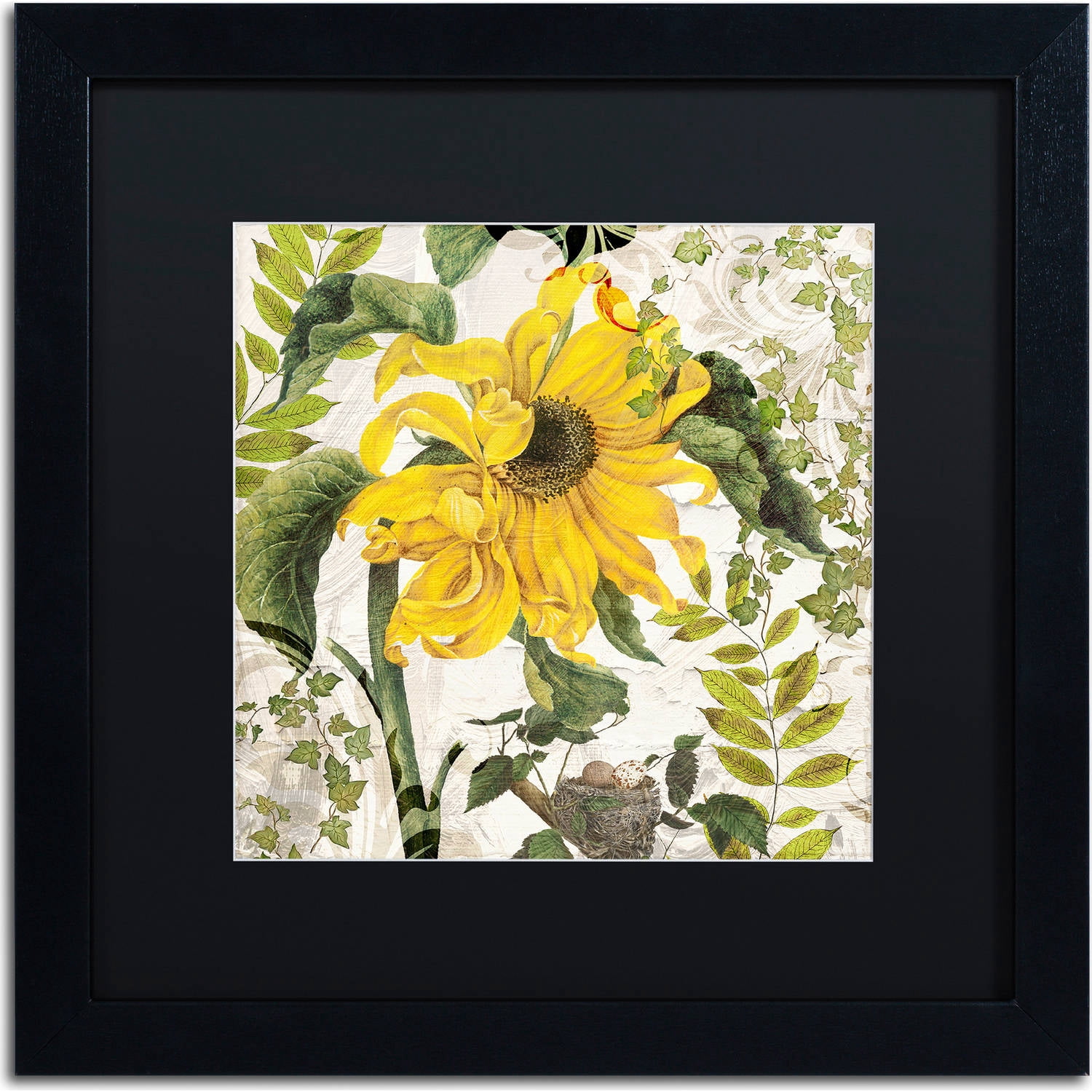Trademark Fine Art "Carina II" Canvas Art by Color Bakery, Black Matte, Black Frame
