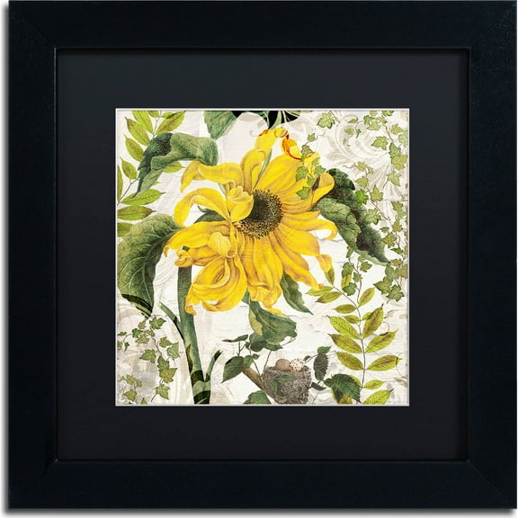 Trademark Fine Art "Carina II" Canvas Art by Color Bakery, Black Matte, Black Frame