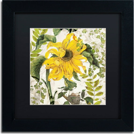 Trademark Fine Art "Carina II" Canvas Art by Color Bakery, Black Matte, Black Frame