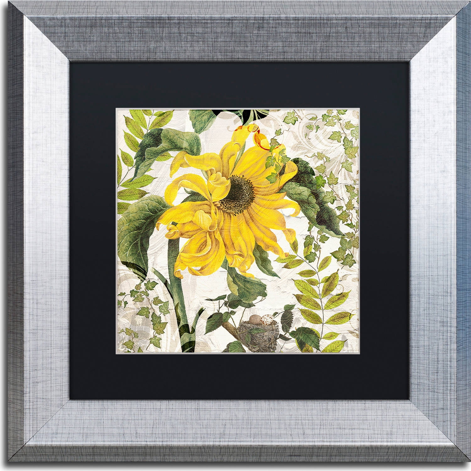 Trademark Fine Art "Carina II" Canvas Art by Color Bakery, Black Matte, Silver Frame