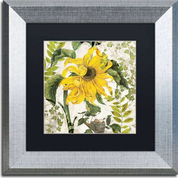 Trademark Fine Art "Carina II" Canvas Art by Color Bakery, Black Matte, Silver Frame