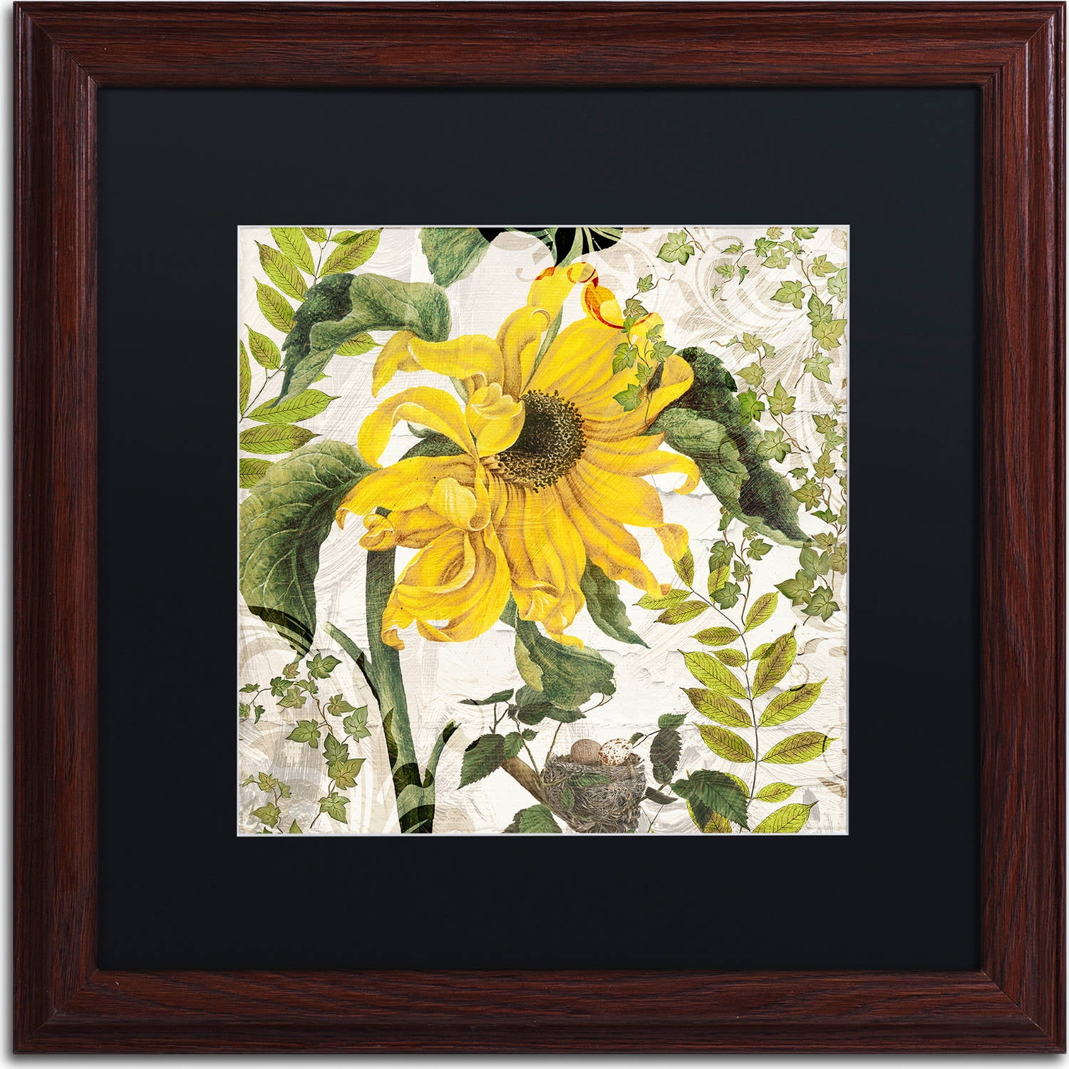 Trademark Fine Art "Carina II" Canvas Art by Color Bakery, Black Matte, Wood Frame