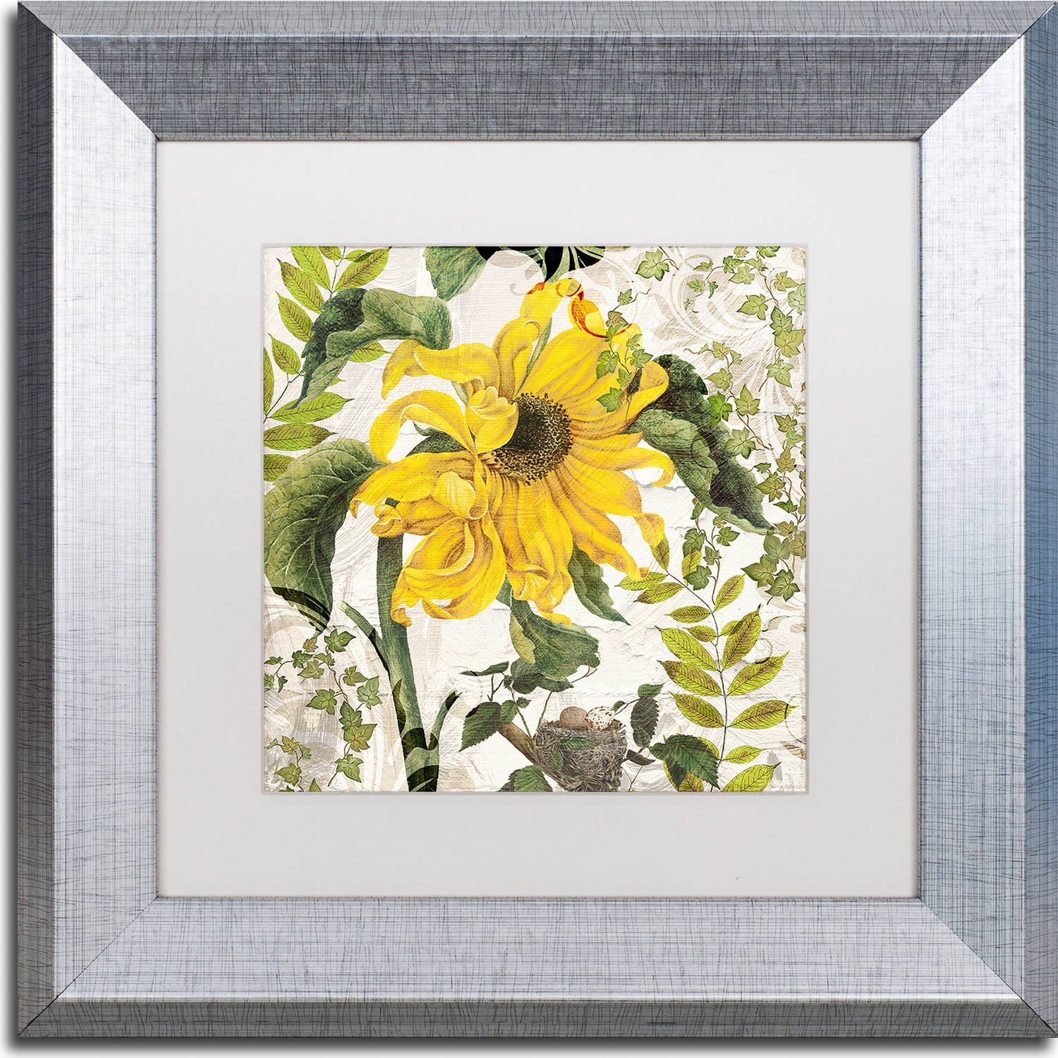 Trademark Fine Art "Carina II" Canvas Art by Color Bakery, White Matte, Silver Frame