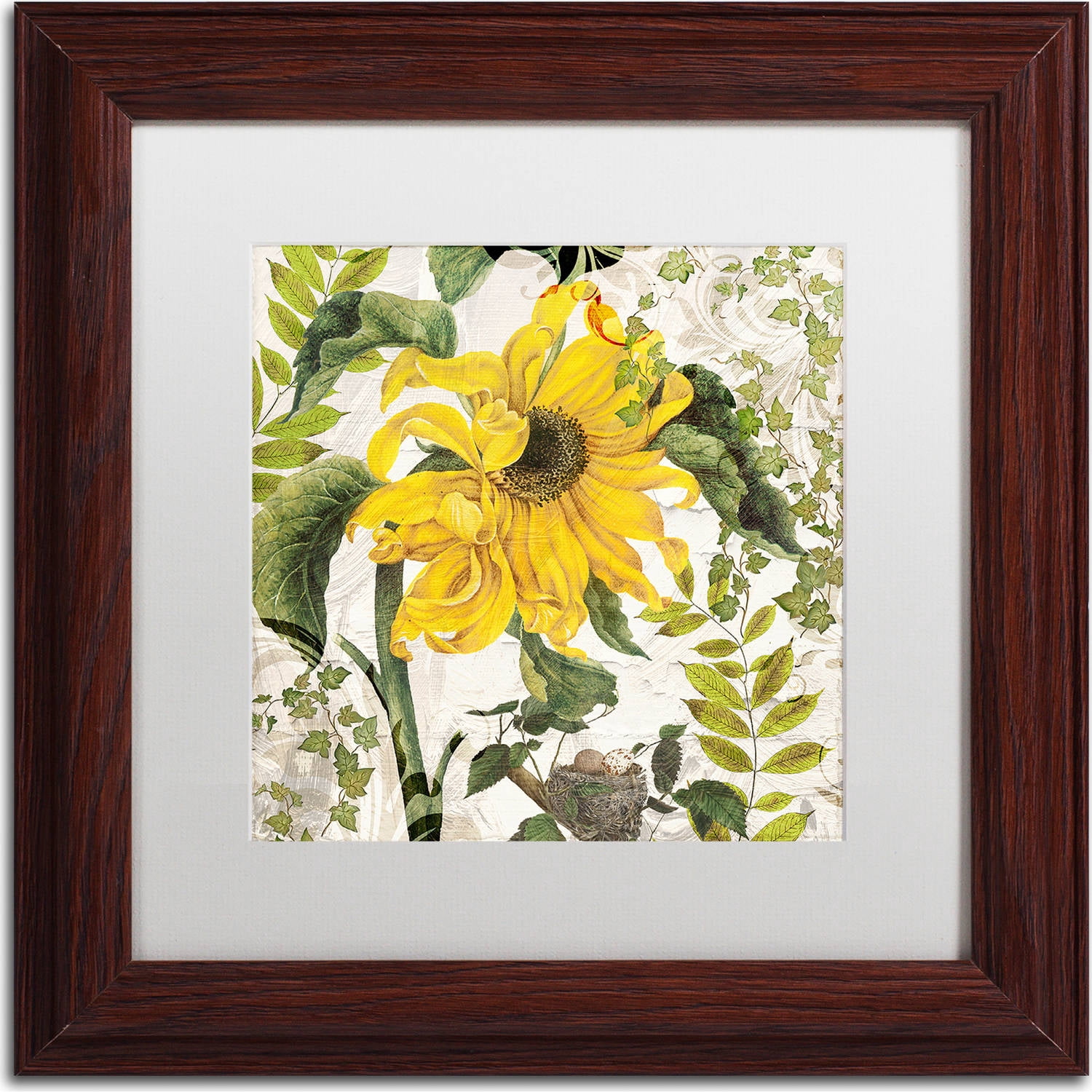 Trademark Fine Art "Carina II" Canvas Art by Color Bakery, White Matte, Wood Frame