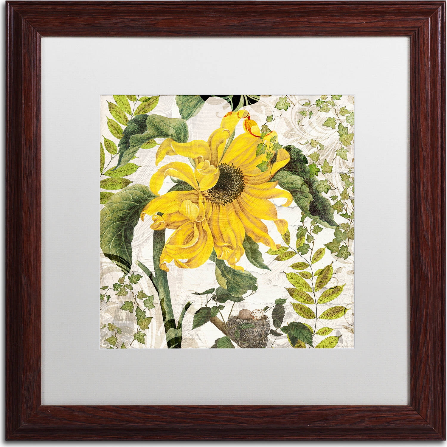 Trademark Fine Art "Carina II" Canvas Art by Color Bakery, White Matte, Wood Frame