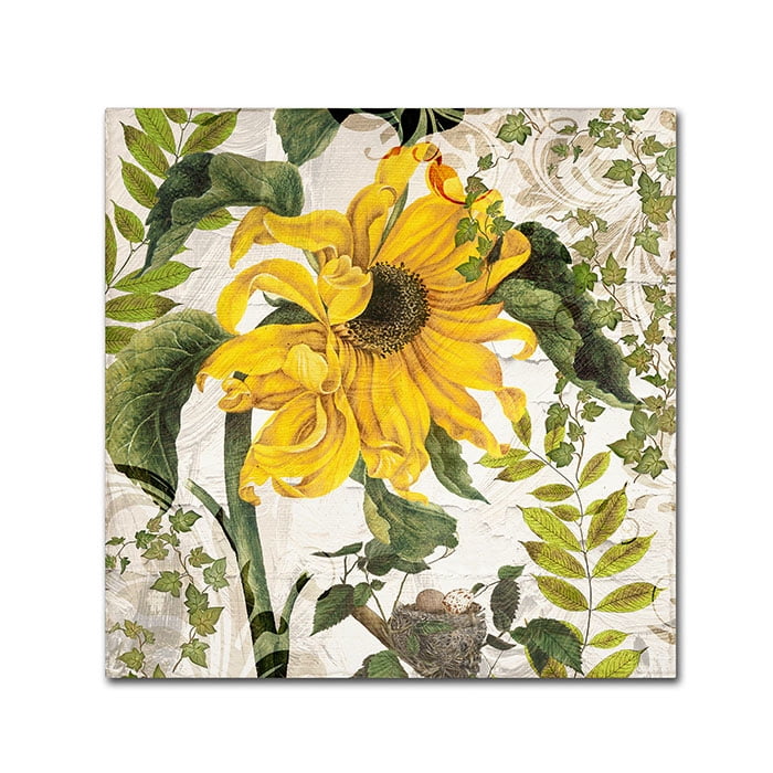 Trademark Fine Art "Carina II" Canvas Art by Color Bakery