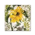 thumbnail image 1 of Trademark Fine Art "Carina II" Canvas Art by Color Bakery, 1 of 2