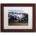thumbnail image 1 of Trademark Fine Art 'Carouselambra' Canvas Art by Philippe Sainte-Laudy, White Matte, Wood Frame, 1 of 1