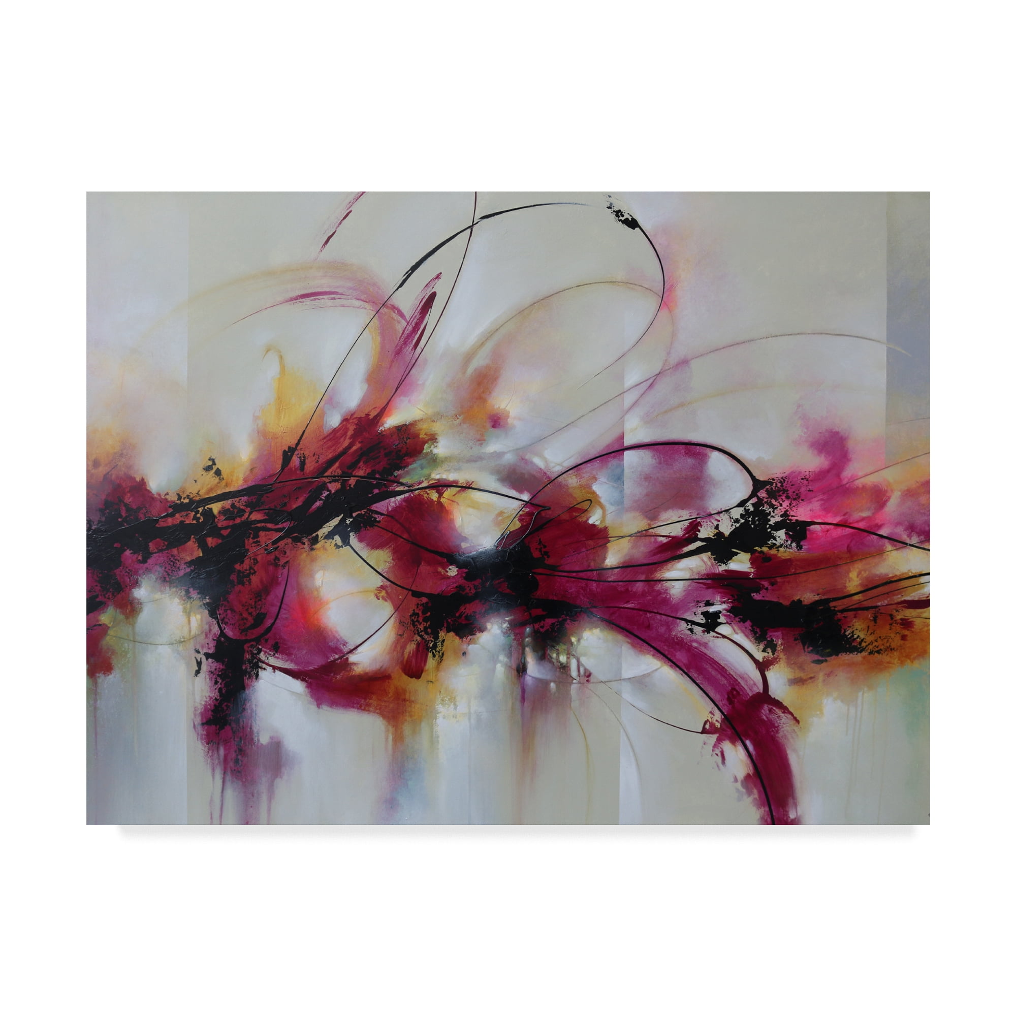Trademark Fine Art 'Carried Away' Canvas Art by CH Studios