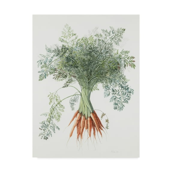Trademark Fine Art 'Carrots, 1995' Canvas Art by Margaret Ann Eden
