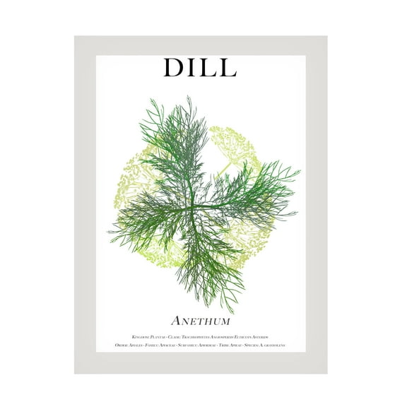 Trademark Fine Art Cartissi   Dill Canvas Wall Art