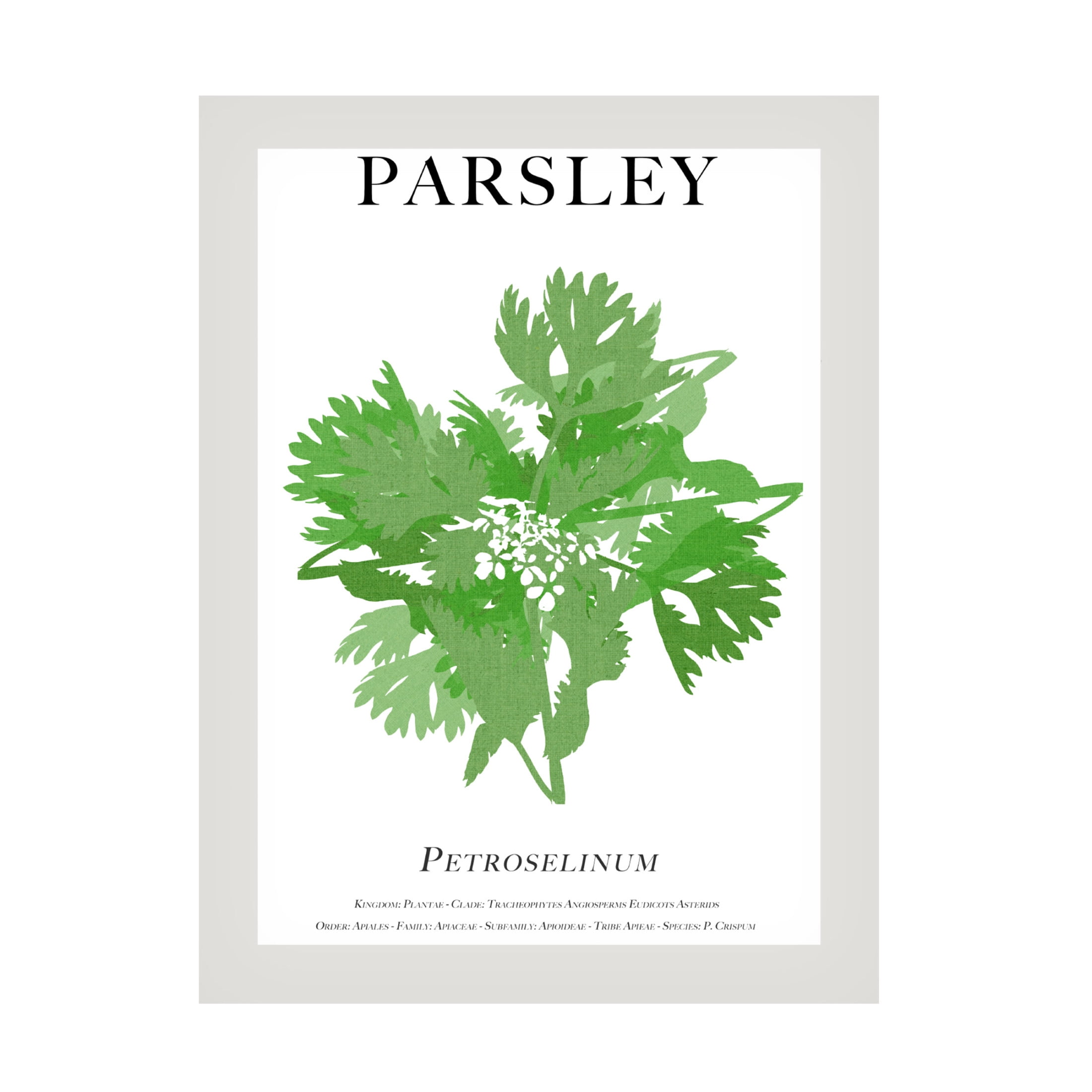 Trademark Fine Art Cartissi Parsley Canvas Wall Art