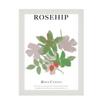 Trademark Fine Art Cartissi Rosehip Canvas Wall Art