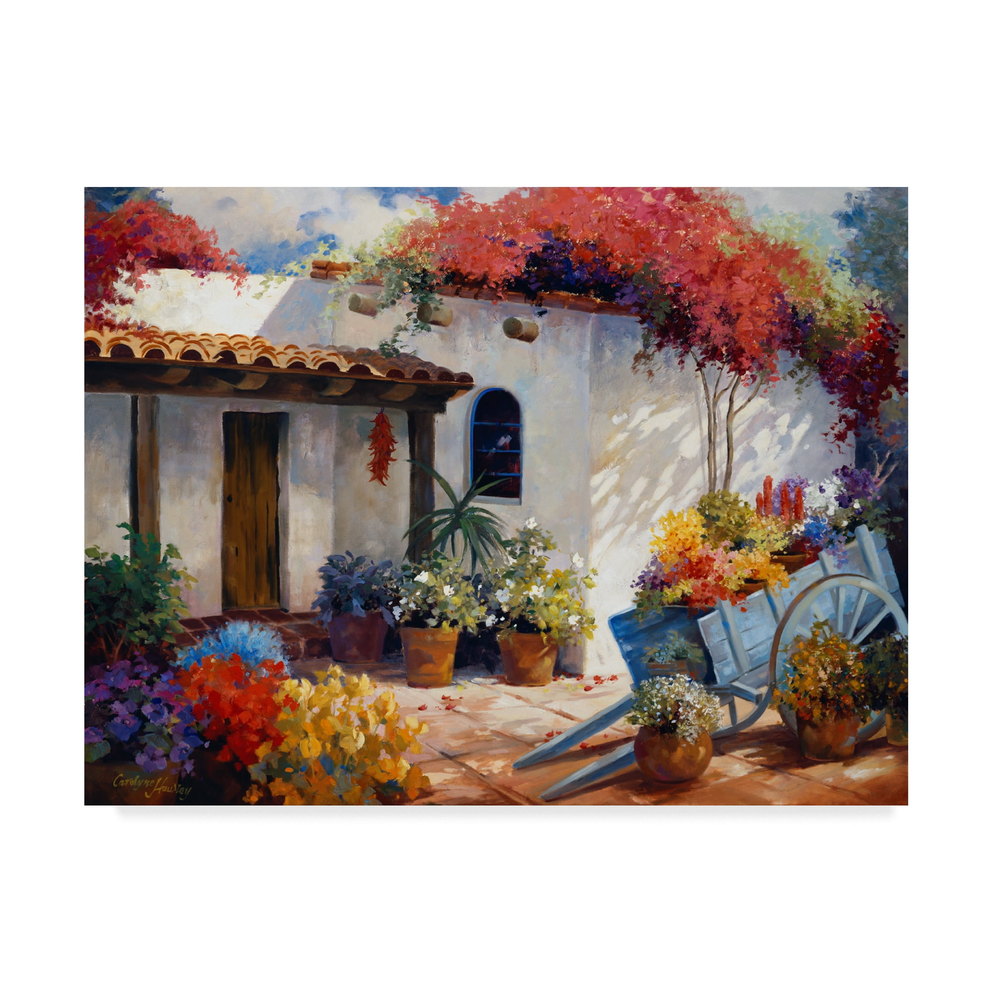 Trademark Fine Art 'Casa Paloma' Canvas Art by Carolyne Hawley