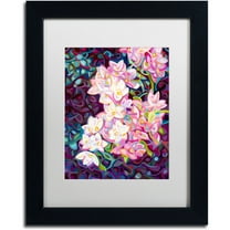 Trademark Fine Art "Cascade" Canvas Art by Mandy Budan, White Matte, Black Frame