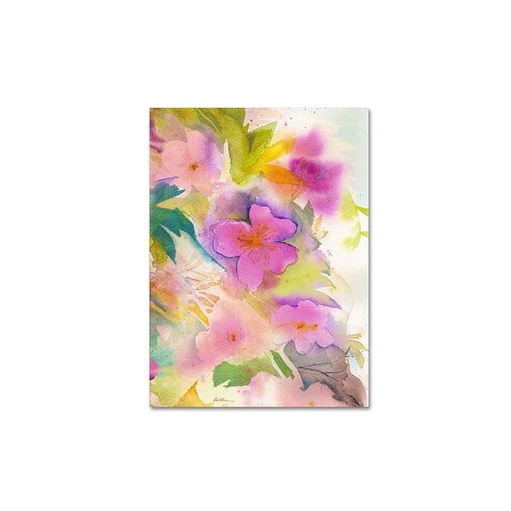 Trademark Fine Art "Cascade" Canvas Art by Sheila Golden