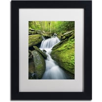 Trademark Fine Art 'Cascade Mossy Rocks' Canvas Art by Michael Blanchette Photography, White Matte, Black Frame