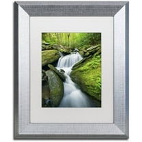 Trademark Fine Art 'Cascade Mossy Rocks' Canvas Art by Michael Blanchette Photography, White Matte, Silver Frame