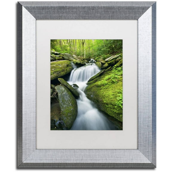 Trademark Fine Art 'Cascade Mossy Rocks' Canvas Art by Michael Blanchette Photography, White Matte, Silver Frame