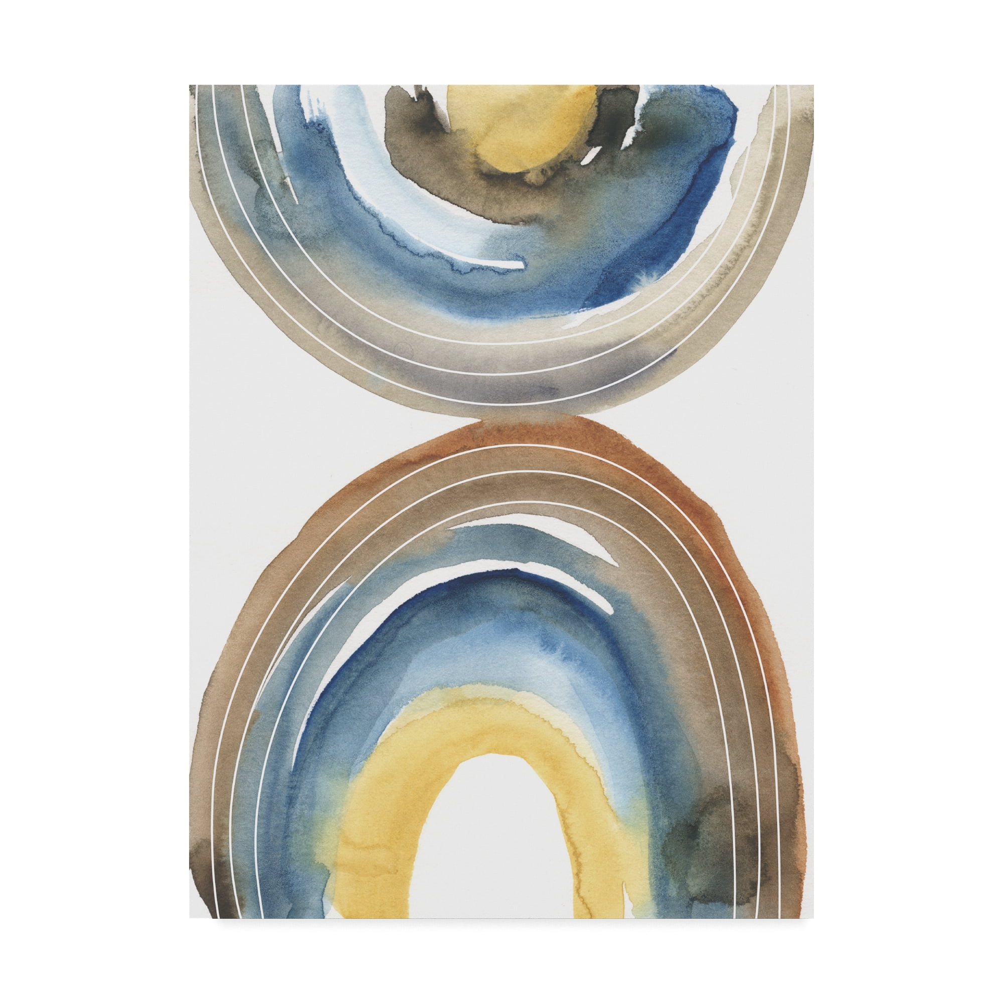 Trademark Fine Art 'Cassini I' Canvas Art by Chariklia Zarris