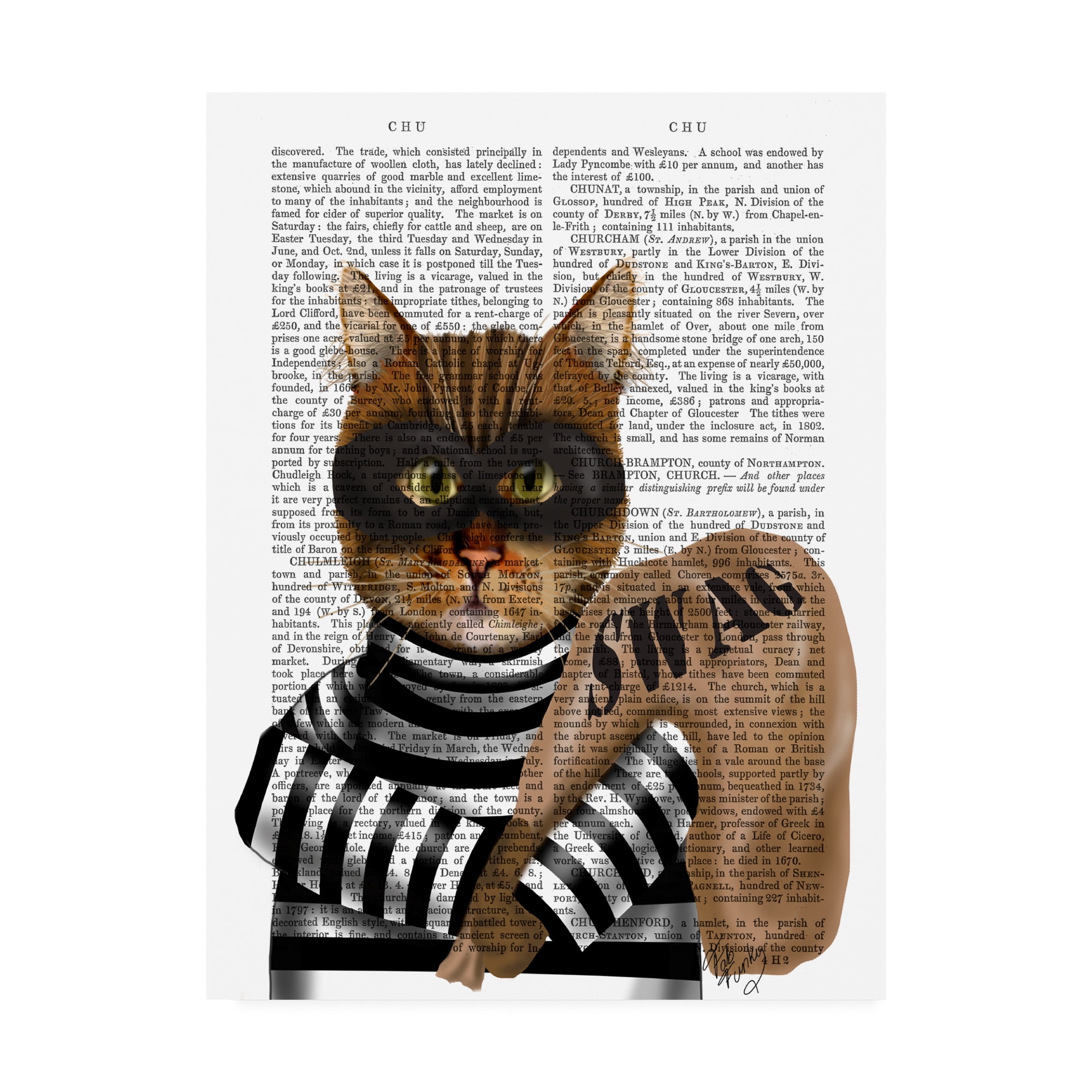Trademark Fine Art 'Cat Burglar' Canvas Art by Fab Funky