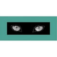 thumbnail image 1 of Trademark Fine Art "Cat Eyes" Canvas Wall Art by Patty Tuggle, 1 of 1
