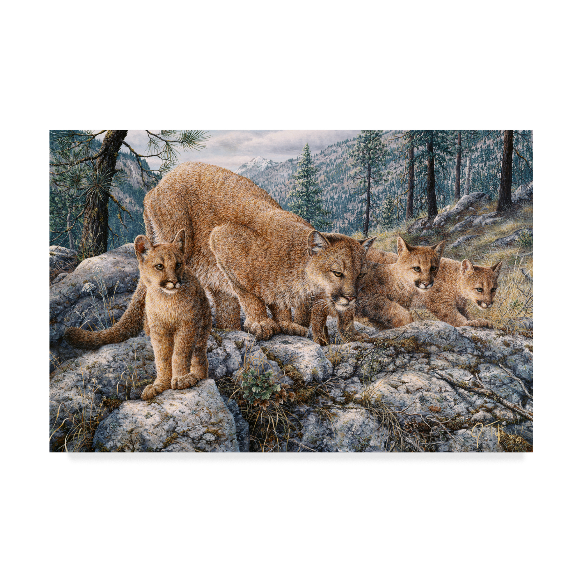 Trademark Fine Art 'Cat Family' Canvas Art by Jeff Tift