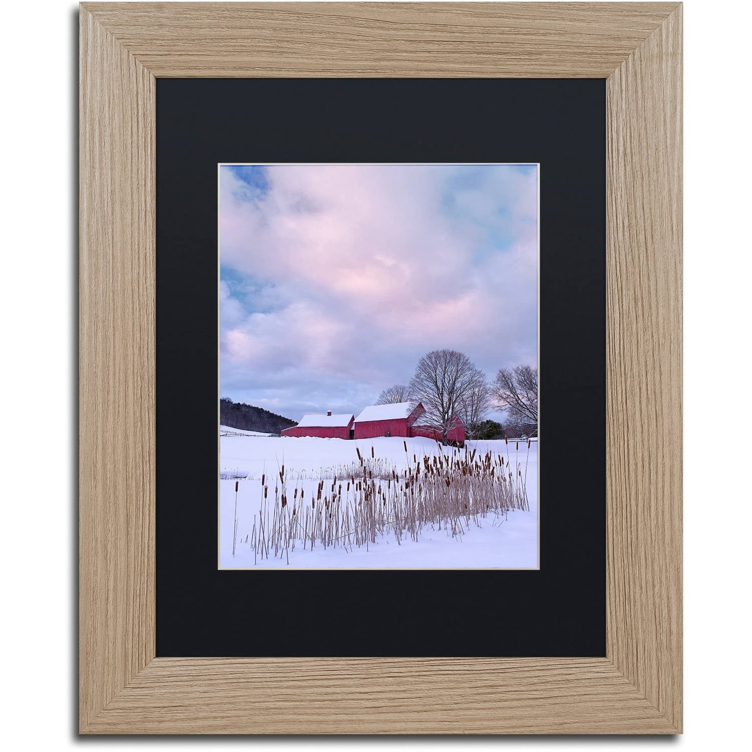 Trademark Fine Art "Cat O'Nine In Snow" Canvas Art by Michael Blanchette Photography Black Matte, Birch Frame