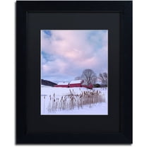 Trademark Fine Art "Cat O'Nine In Snow" Canvas Art by Michael Blanchette Photography Black Matte, Black Frame
