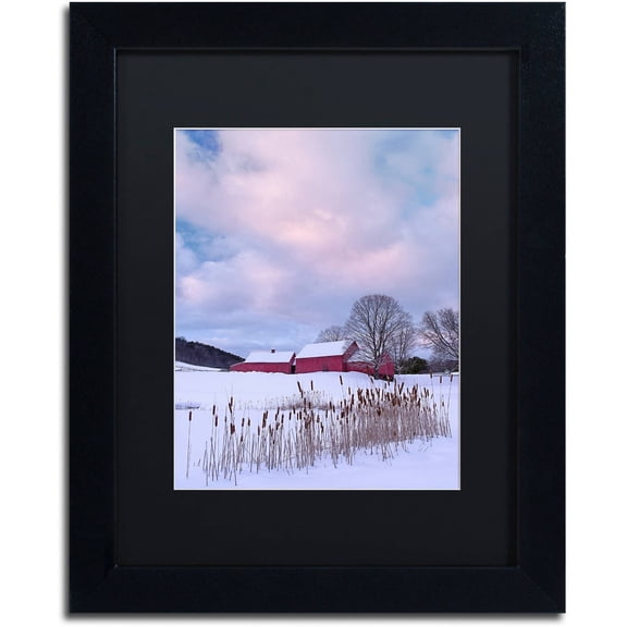 Trademark Fine Art "Cat O'Nine In Snow" Canvas Art by Michael Blanchette Photography Black Matte, Black Frame