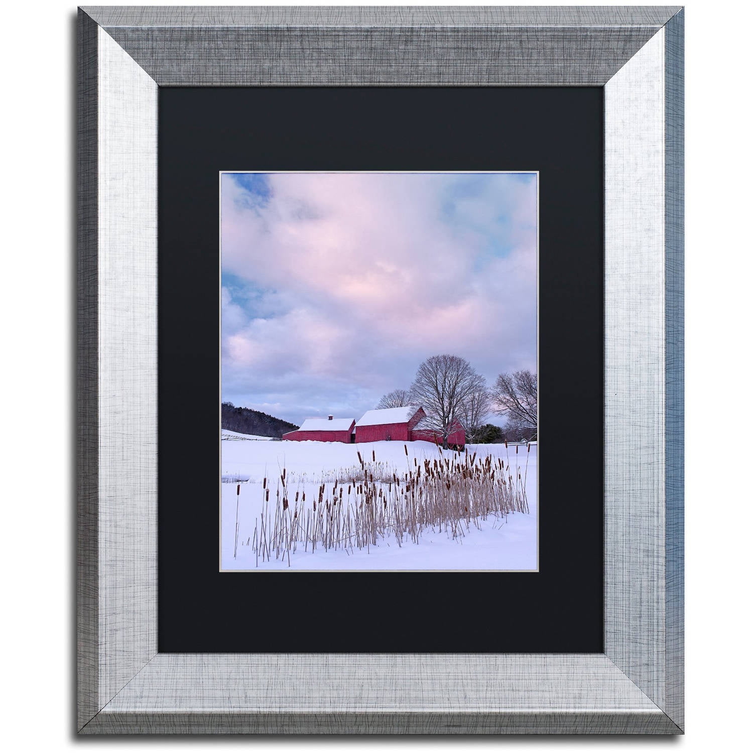 Trademark Fine Art "Cat O'Nine In Snow" Canvas Art by Michael Blanchette Photography Black Matte, Silver Frame