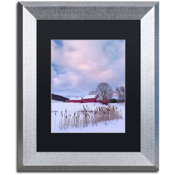 Trademark Fine Art "Cat O'Nine In Snow" Canvas Art by Michael Blanchette Photography Black Matte, Silver Frame