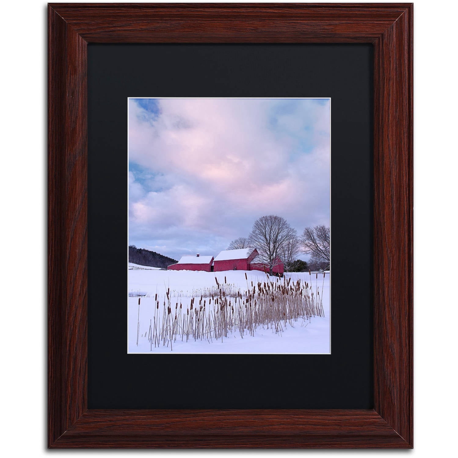 Trademark Fine Art "Cat O'Nine In Snow" Canvas Art by Michael Blanchette Photography Black Matte, Wood Frame