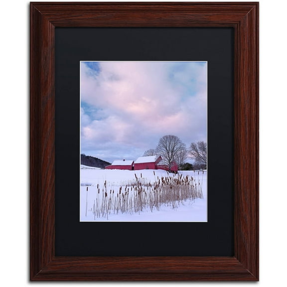 Trademark Fine Art "Cat O'Nine In Snow" Canvas Art by Michael Blanchette Photography Black Matte, Wood Frame