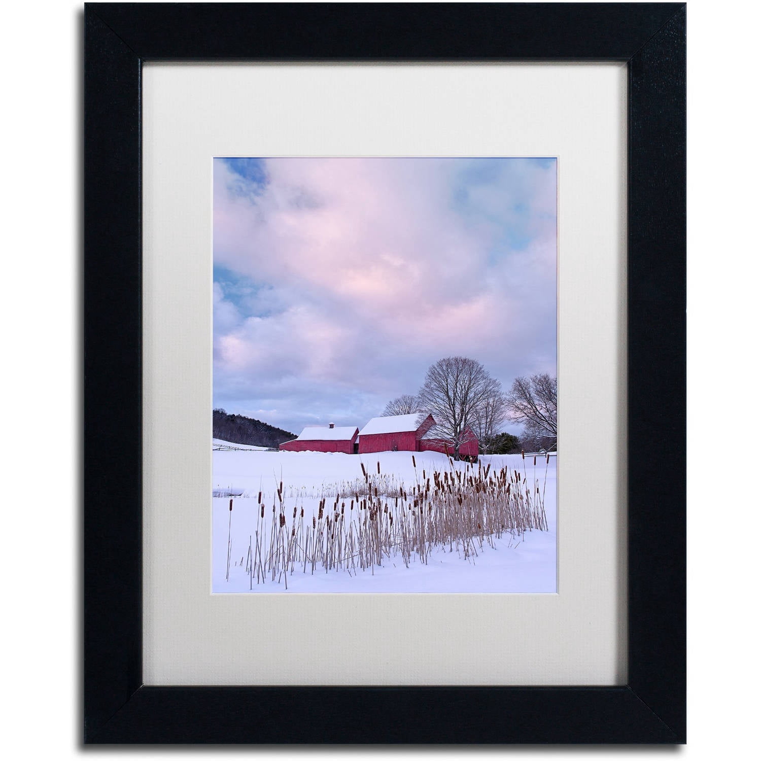 Trademark Fine Art "Cat O'Nine In Snow" Canvas Art by Michael Blanchette Photography White Matte, Black Frame