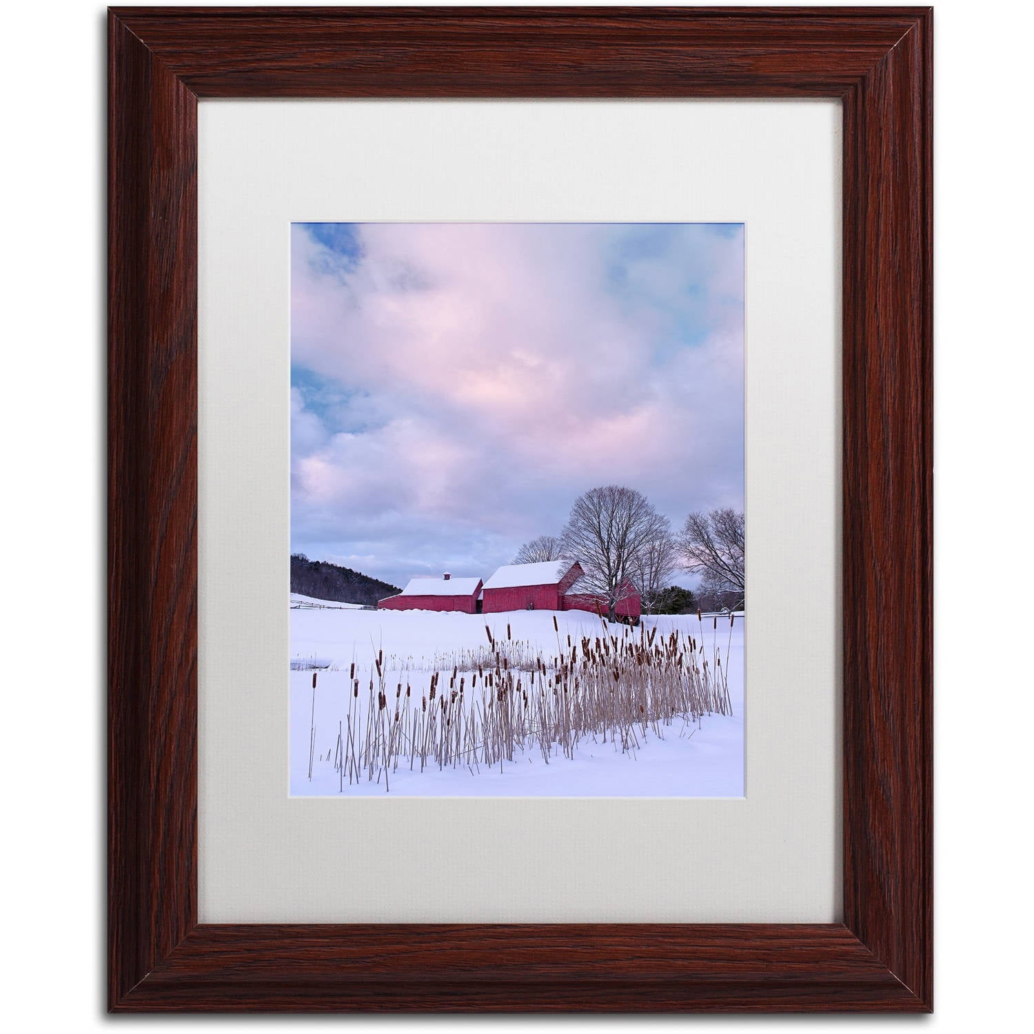Trademark Fine Art "Cat O'Nine In Snow" Canvas Art by Michael Blanchette Photography White Matte, Wood Frame