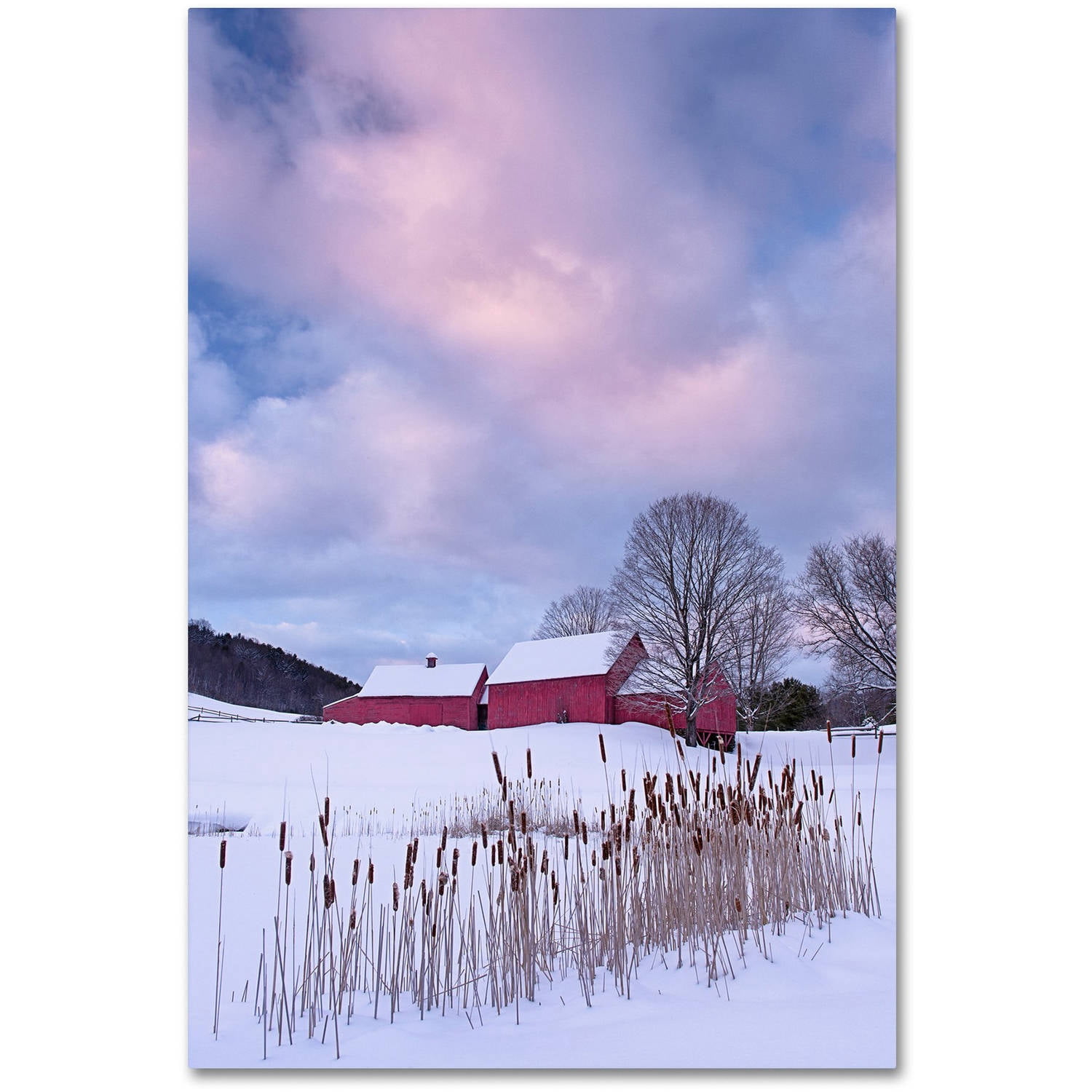 Trademark Fine Art "Cat O'Nine In Snow" Canvas Art by Michael Blanchette Photography