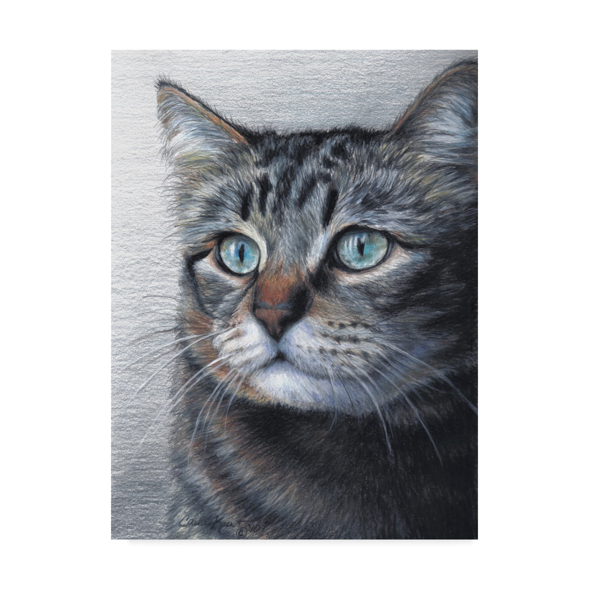 Trademark Fine Art 'Cat Portrait' Canvas Art by Carla Kurt