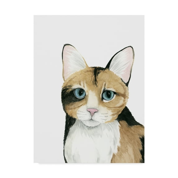 Trademark Fine Art 'Cat Portrait II' Canvas Art by Grace Popp