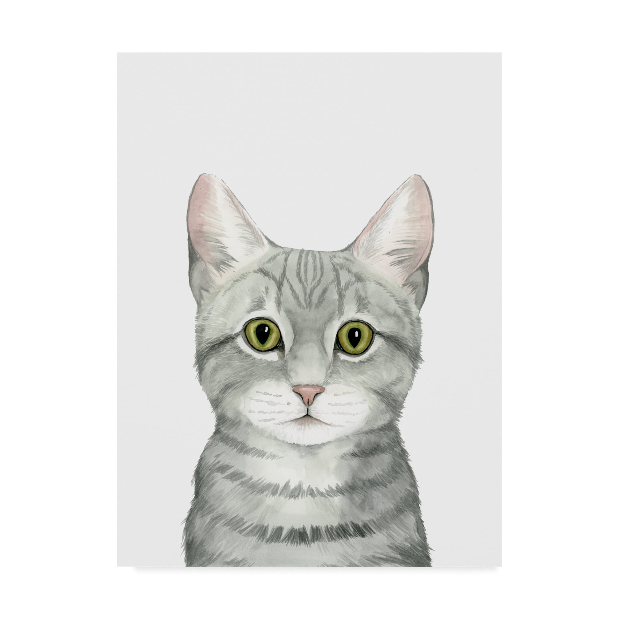 Trademark Fine Art 'Cat Portrait III' Canvas Art by Grace Popp