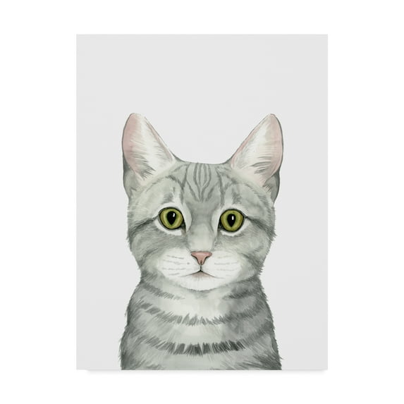 Trademark Fine Art 'Cat Portrait III' Canvas Art by Grace Popp
