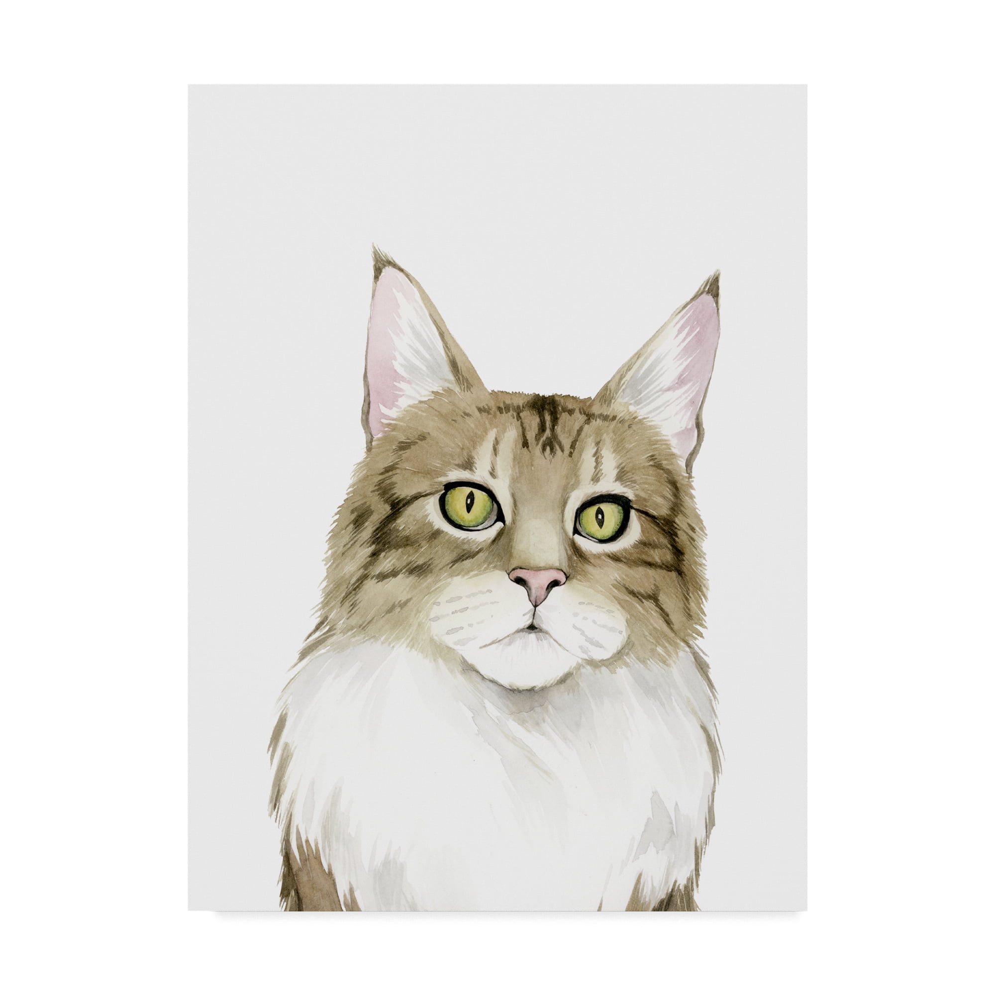 Trademark Fine Art 'Cat Portrait IV' Canvas Art by Grace Popp