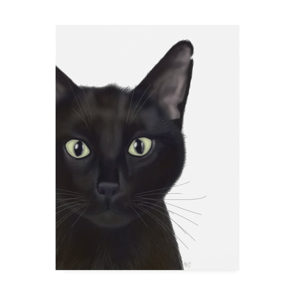 Trademark Fine Art 'Cat, Portrait Of Gus' Canvas Art by Fab Funky