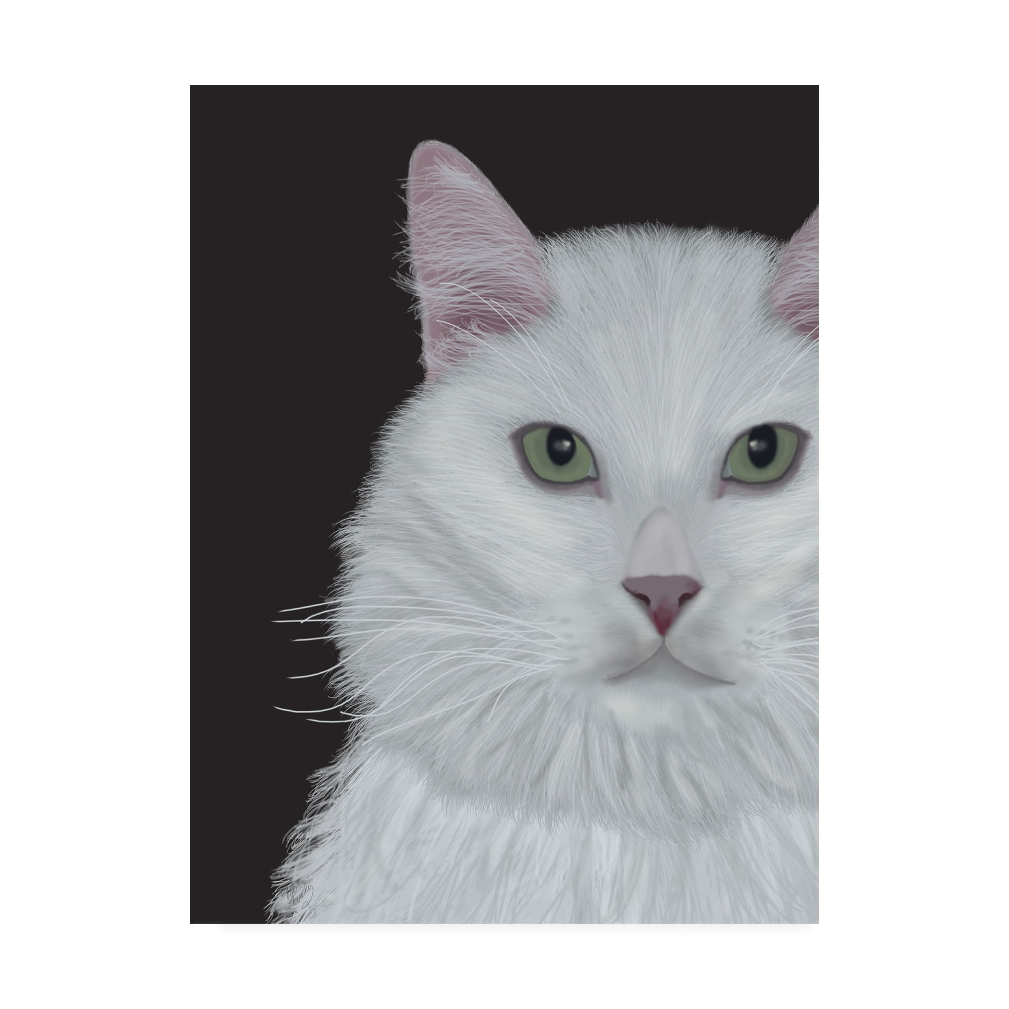 Trademark Fine Art 'Cat, White Portrait On Dark Grey' Canvas Art by Fab Funky