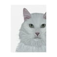 thumbnail image 1 of Trademark Fine Art 'Cat, White Portrait On White' Canvas Art by Fab Funky, 1 of 3